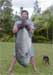 Beeg feesh!
