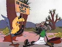 coyote and road runner