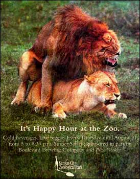 Happy Lions