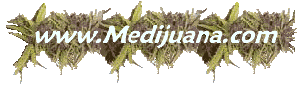 Medi medi juana boogie
